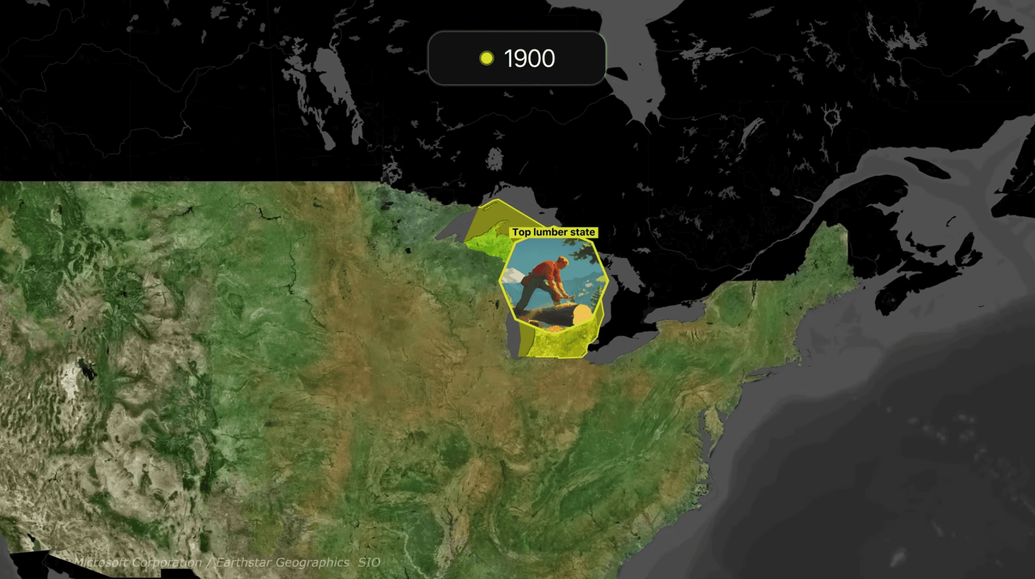 How We Still Have Any Trees Left