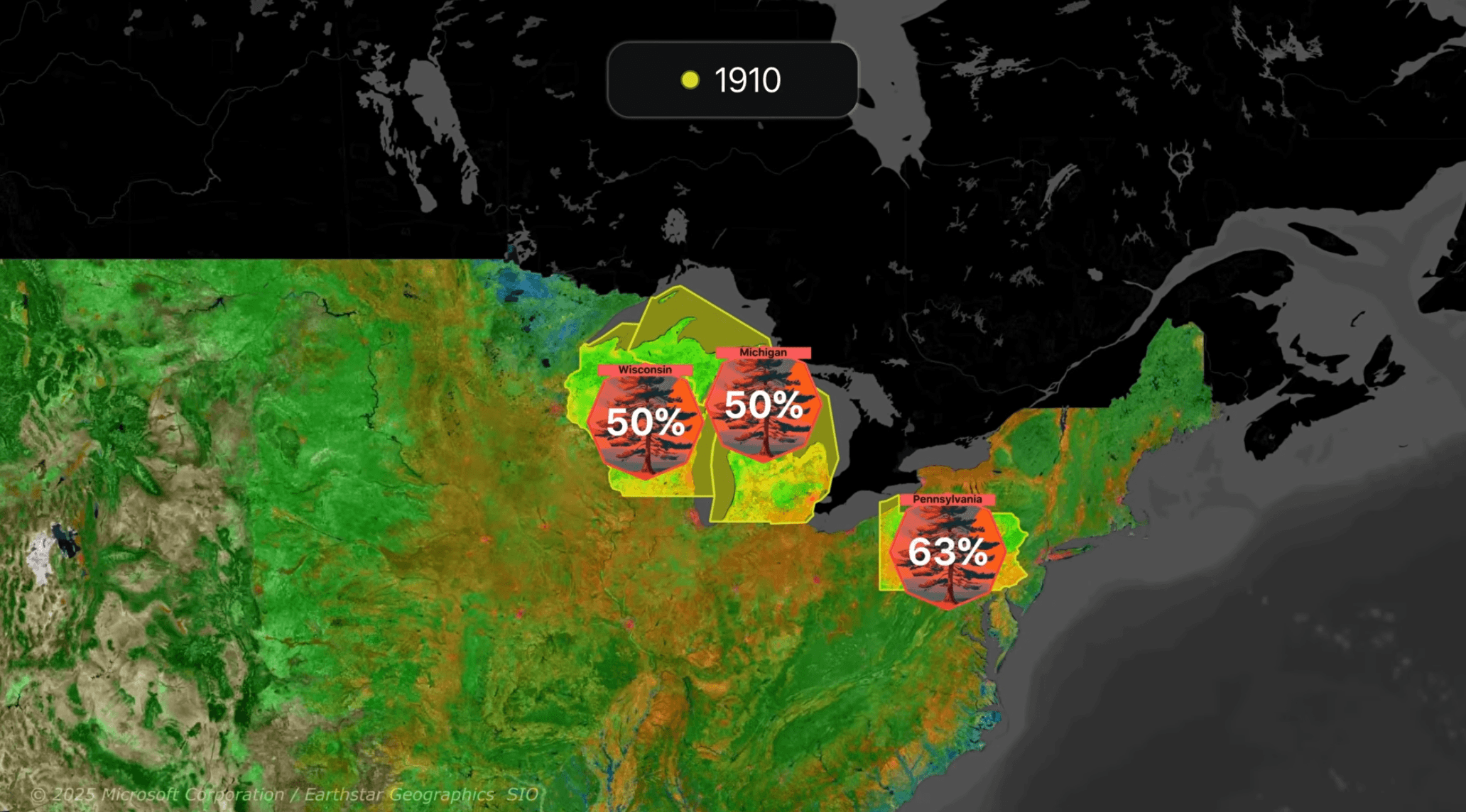 How We Still Have Any Trees Left