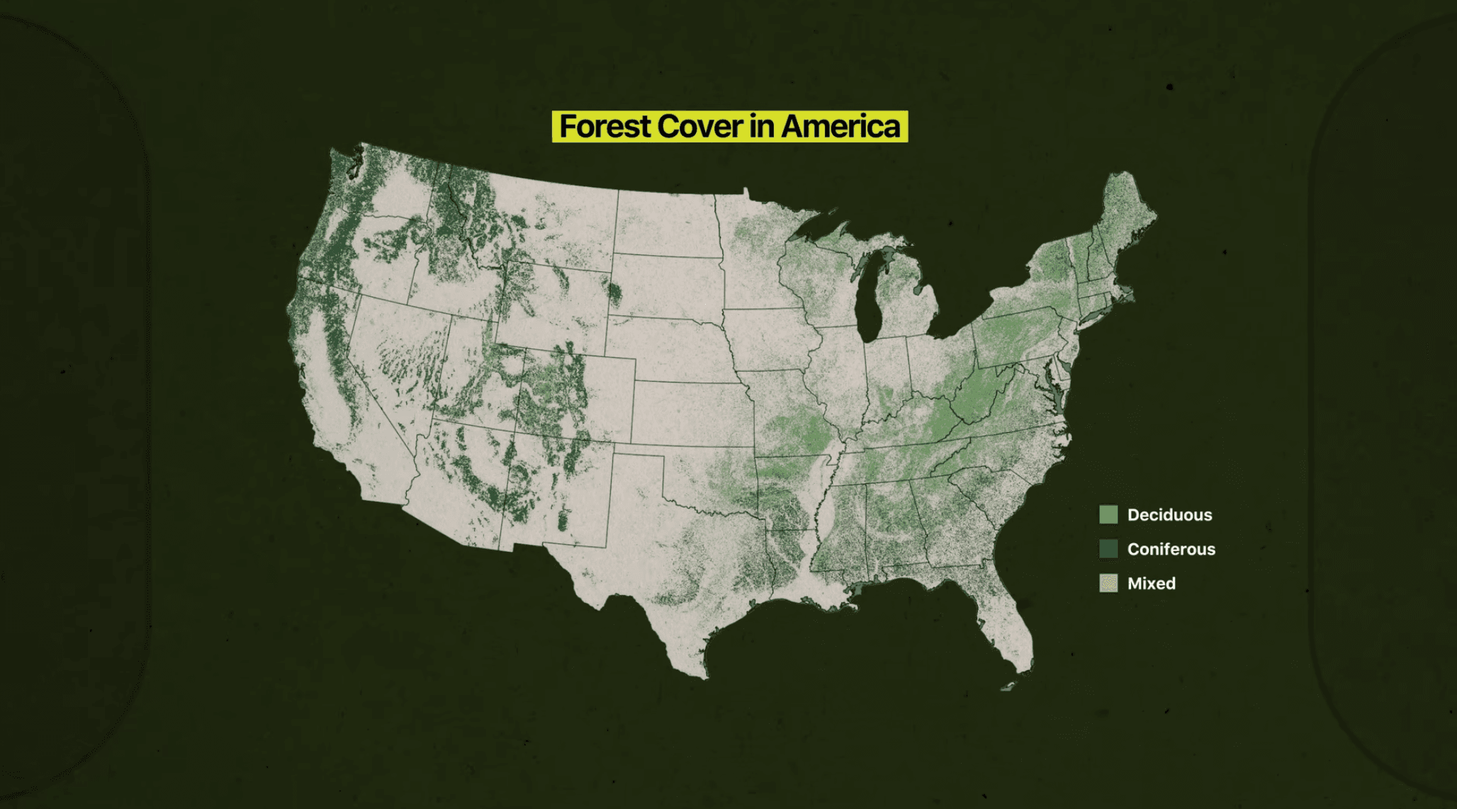 How We Still Have Any Trees Left