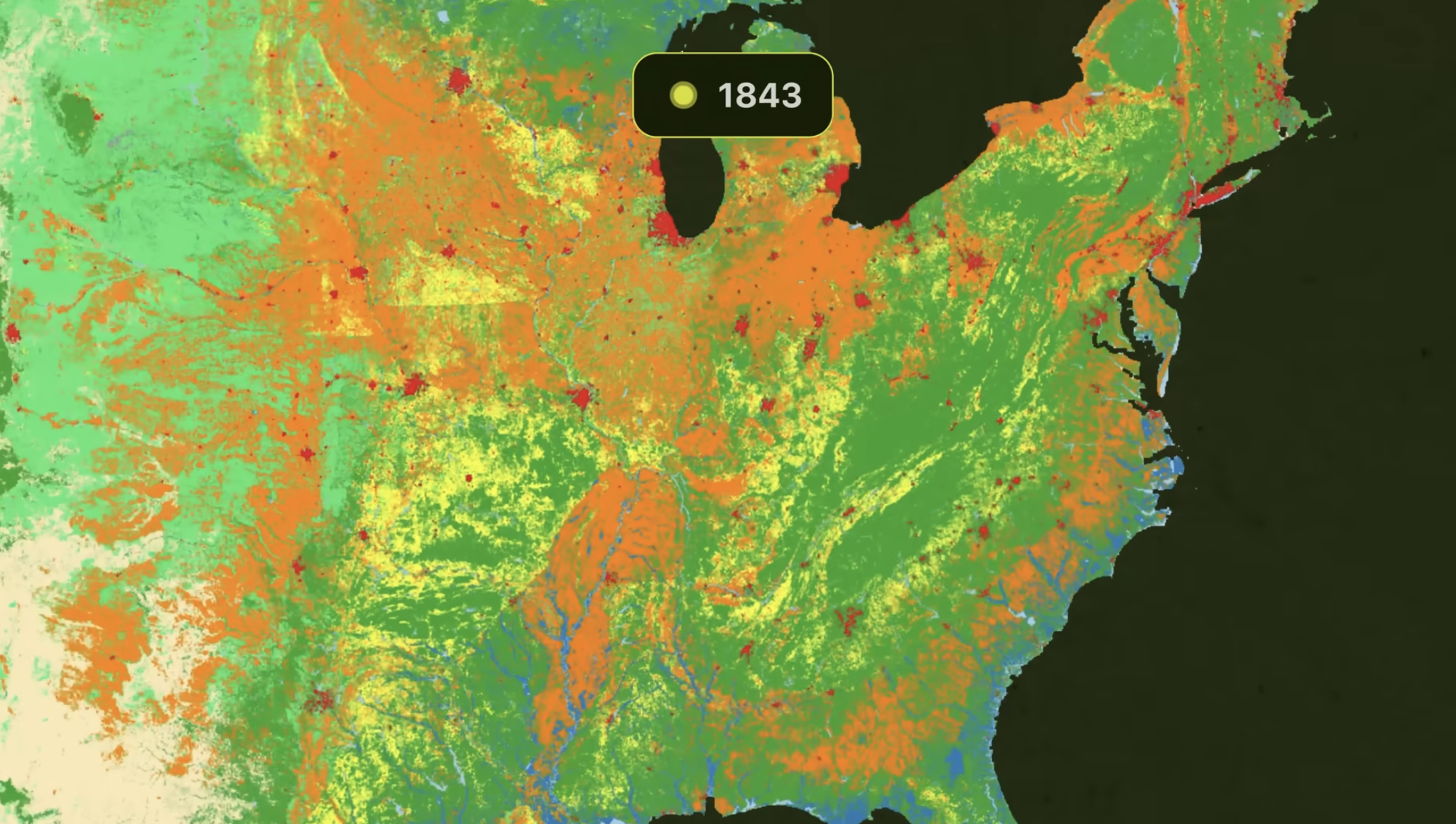 How We Still Have Any Trees Left