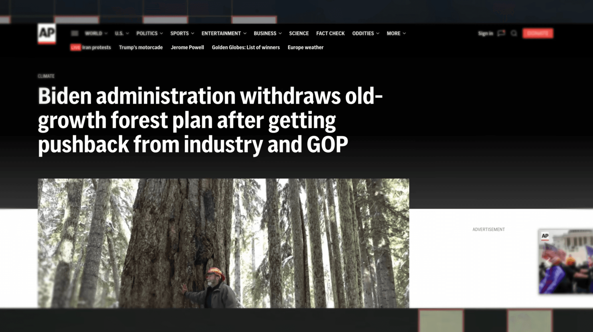 How We Still Have Any Trees Left